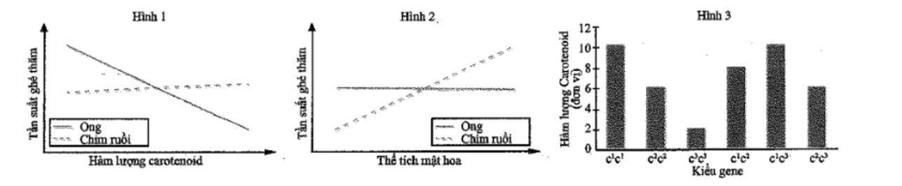 Nhận định nào dưới đây là phù hợp với thông tin được thể hiện trên Hình 1 và Hình 2? (ảnh 1)