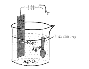 Bán phản ứng nào xảy ra ở anot? (ảnh 1)