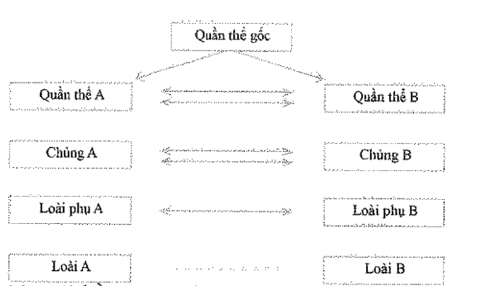 Cho sơ đồ sau: Câu nào miêu tả sơ đồ trên là đúng nhất (ảnh 1)