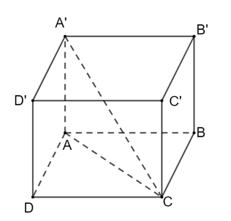 Nếu hình hộp chữ nhật có ba kích thước là 3, 4, 5 thì độ dài đường chéo của nó là (ảnh 1)