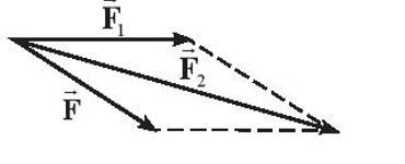 Hình vẽ nào sau đây biểu diễn đúng lực tổng hợp của hai lực F1,F2 ? (ảnh 4)