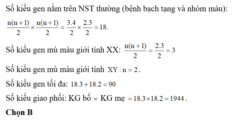 Ở người, bệnh mù màu hồng lục do gen lặn trên NST giới tính X qui định, bạch tạng do gen  (ảnh 1)