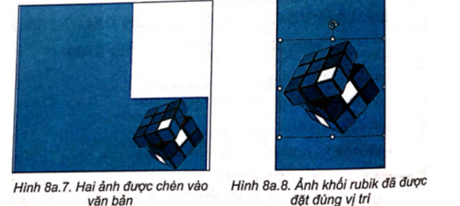 Thực hành: Em hãy sử dụng phần mềm soạn thảo để tạo một tờ rơi quảng cáo (ảnh 2)