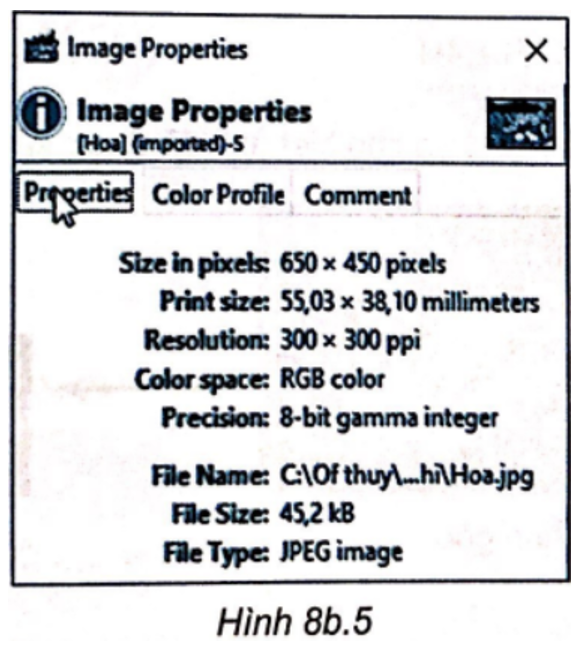 Quan sát Hình 8b.5 để biết các thông số của ảnh và điền vào chỗ trống (...) được (ảnh 1)
