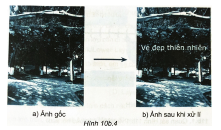 Thực hành: Hãy dùng phần mềm chỉnh sửa ảnh để xử lí độ sáng và độ tương phản của ảnh gốc (ảnh 1)