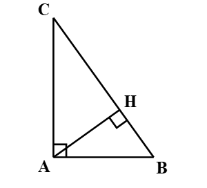 Cho hình vẽ:   Hình vẽ trên có bao nhiêu cặp tam giác vuông đồng dạng? A. 1 cặp; B. 2 cặp; C. 3 cặp; D. 4 cặp;  (ảnh 1)