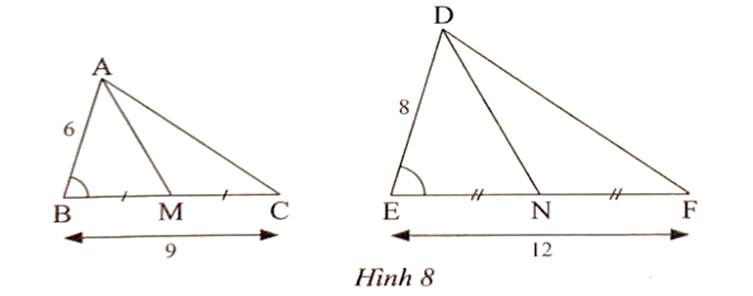 Quan sát Hình 8 Cho biết AM là đường trung tuyến của tam giác ABC, DN là  (ảnh 1)