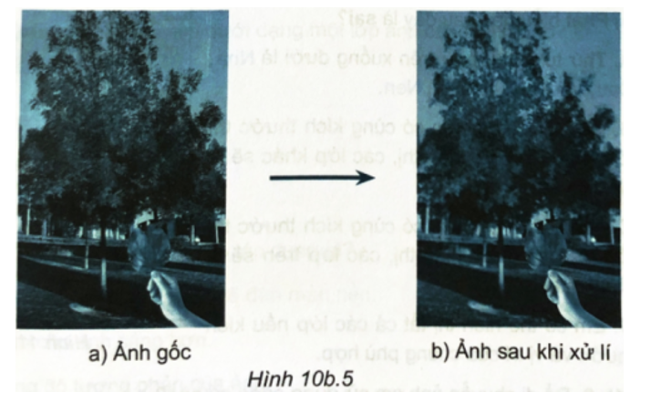 Thực hành: Hãy dùng phần mềm chỉnh sửa ảnh để xử lí độ mờ và độ sắc nét  (ảnh 1)