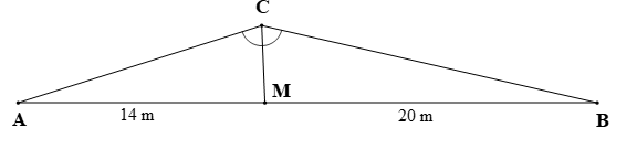 Hai ngư dân A, B đứng ở hai bên bờ sông cách một cái lều M lần lượt là 14 m; 20 m và cùng nhìn thấy một cù lao C trên sông (được mô tả như hình vẽ) sao cho (ảnh 2)