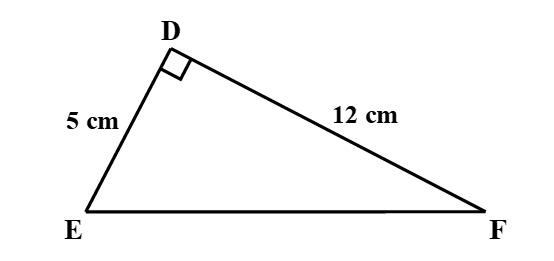 Cho hình vẽ  Độ dài cạnh EF là:  A. 13 cm;  B. 119 cm;  C. căn bậc hai 13 cm ;  D. căn bậc hai 119 cm . (ảnh 1)
