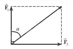 Hai lực có giá đồng quy, vuông góc có độ lớn các lực thành phần là F1 = 6N và F2 = 8N (Hình 13.1). Xác định độ lớn của lực tổng hợp và góc hợp giữa vectơ lực tổng hợp và vectơ (ảnh 2)