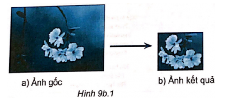 Quan sát Hình 9b.1 và cho biết ảnh đã được xử lí bằng cách nào?   A. Cắt hình.  (ảnh 1)