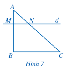 Trong Hình 7, cho AM = 1, MB = 2, AN = 1,5, NC = 3.   a) So sánh các tỉ số AM/MB, AN/NC (ảnh 1)