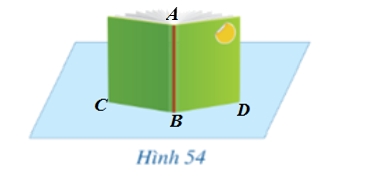 Trong Hình 54, hai bìa của cuốn sách gợi nên hình ảnh hai mặt phẳng vuông góc với mặt bàn.  (ảnh 2)