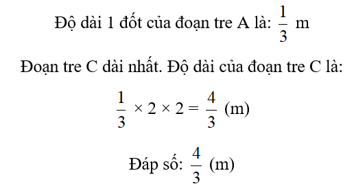 Đ, S?  Có ba đoạn tre A, B, C xếp như hình vẽ. Biết đoạn tre A dài 1 m và có 3 đốt dài bằng nhau (ảnh 2)