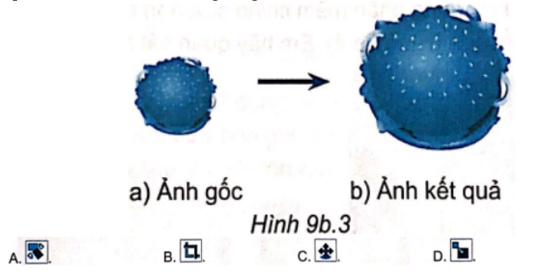 Quan sát Hình 9b.3 và cho biết ảnh kết quả thu được sau khi sử dụng công cụ nào? (ảnh 1)