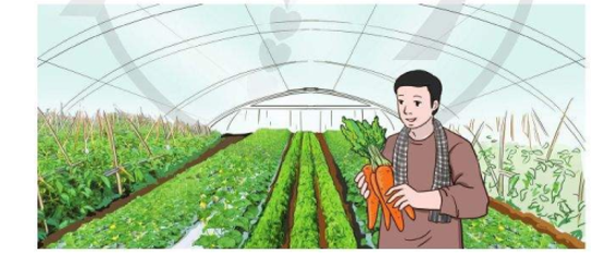 Một nhà vườn trồng rau sạch có tổng diện tích 360 m2. Trong đó diện tích trồng cà rốt chiếm (ảnh 1)