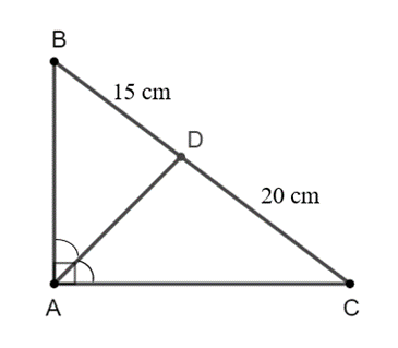 Cho tam giác ABC vuông tại A. Tia phân giác của góc BAC cắt BC tại D (ảnh 1)