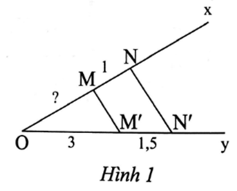 Quan sát Hình 1. Biết MN = 1 cm, MM' // NN', OM' = 3 cm, MM' = 1,5 cm, độ dài  (ảnh 1)
