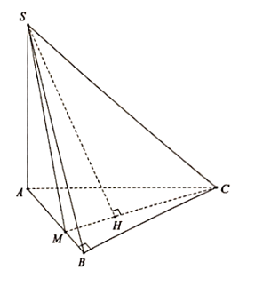 Cho hình chóp S.ABC có đáy ABC là tam giác vuông tại B, cạnh bên SA vuông góc với đáy (ảnh 1)