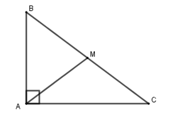 Cho tam giác ABC vuông tại A, trung tuyến AM. Khẳng định nào sau đây là đúng? (ảnh 1)