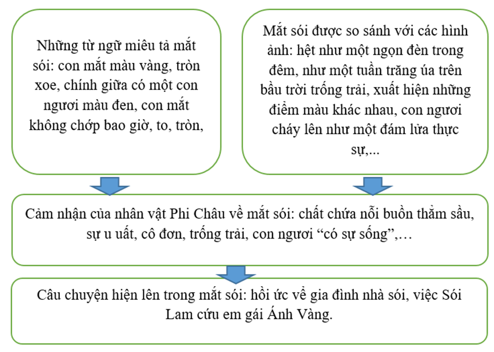 Đọc chương 2 trong SGK tr6 9 và điền nội dung phù hợp vào sơ đồ sau (ảnh 2)