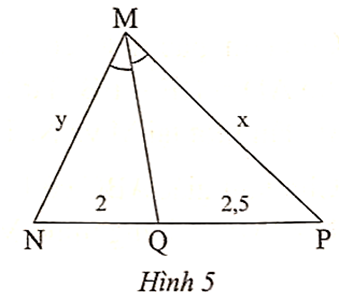 Trong Hình 5 có MQ là tia phân giác của góc NMP. Tỉ số x/y là (ảnh 1)