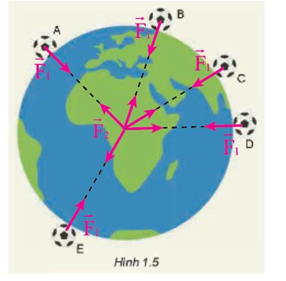 Biểu diễn lực hấp dẫn giữa Trái Đất và quả bóng trong các trường hợp quả bóng ở các vị trí khác nhau như Hình 1.5 (ảnh 2)