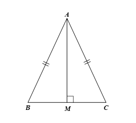 Cho ∆ABC cân tại A có AM vuông góc BC tại M. Phát biểu nào sau đây là đúng? (ảnh 1)