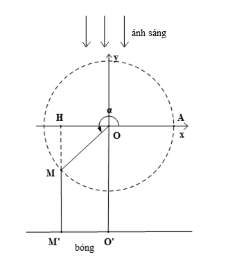 Thanh OM quay ngược chiều kim đồng hồ quanh trục O của nó trên một mặt phẳng thẳng đứng và in bóng vuông góc xuống mặt đất như hình dưới đây.  (ảnh 2)