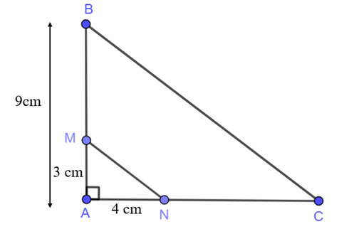 Cho tam giác ABC vuông tại A và MN // BC (M ∈ AB; N thuộc AC). Cho biết AB = 9  (ảnh 1)