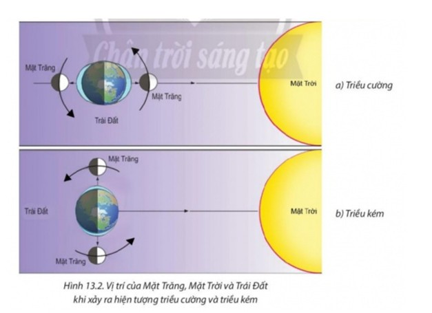 Nêu nhận xét về vị trí của Mặt Trăng và Mặt Trời với Trái Đất khi có triều cường và triều thấp (ảnh 1)