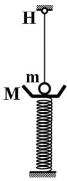 Cho cơ hệ như hình vẽ: hòn bi có kích thước rất nhỏ nặng m = 150 g treo vào đầu một sợi dây đàn hồi có chiều dài tự nhiên 20 cm,  (ảnh 1)