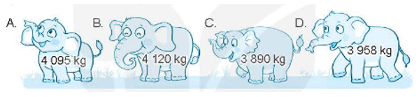 Khoanh vào chữ đặt trước câu trả lời đúng. a) Con voi nào dưới đây nặng nhất?   (ảnh 1)