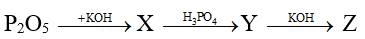 Cho sơ đồ chuyển hóa: P2O5  X  Y   Z Biết X, Y, Z là các chất khác nhau đều chứa kali. Phát biểu sai là  A. Có 2 chất thỏa mãn X.	B. Có 2 chất thỏa mãn Z.  C. Chất Y là K2HPO4.		D. Có 1 chất thỏa mãn Y. (ảnh 1)