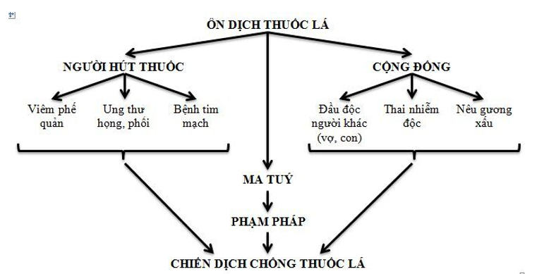 Tìm đọc một số văn bản thông tin về một trong các chủ đề văn hóa, thể thao, môi trường, khoa học. Sử dụng các phương tiện phi ngôn ngữ để tóm tắt những thông tin mà bạn đã đọc. (ảnh 1)