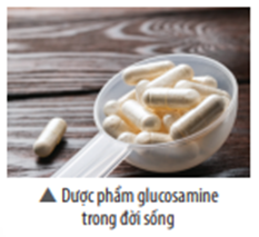 Glucosamine có vai trò quan trọng trong việc phát triển và duy trì sụn trong (ảnh 1)