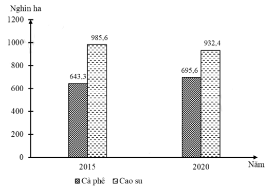 Cho biểu đồ về diện tích cà phê và cao su của nước ta năm 2015 và 2020:    (Số liệu theo niên giám thống kê Việt Nam 2020, NXB Thống kê, 2021)  Biểu đồ thể hiện nội dung nào sau đây?  A. Cơ cấu diện tích cà phê và cao su.  B. Quy mô diện tích cà phê và cao su.  C. Tốc độ tăng trưởng diện tích cà phê và cao su.  D. Sự thay đổi cơ cấu diện tích cà phê và cao su. (ảnh 1)