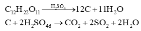 Các khí sinh ra trong thí nghiệm phản ứng của saccharose  (ảnh 1)