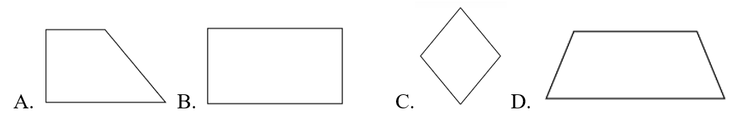 Khoanh vào chữ đặt trước hình thoi trong các hình sau:  (ảnh 1)