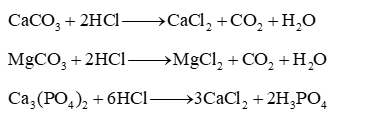 Khoáng chất trong vỏ tôm gồm calcium carbonate, magnesium carbonate  (ảnh 1)