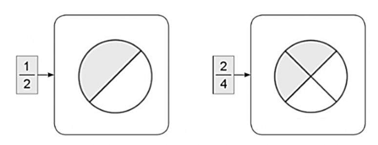 Vẽ hình biểu diễn phân số 1 2 và 2 4 (ảnh 2)