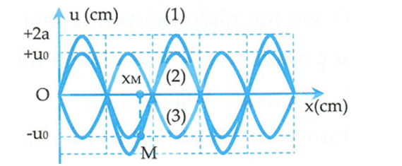 Sóng dừng hình thành trên một sợi dây đàn hồi OB, với đầu phản xạ B cố định và tốc độ lan truyền v = 400 cm/s  (ảnh 1)
