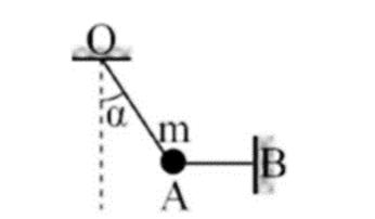 Một chất điểm có khối lượng m = 100 g được treo trong mặt phẳng thẳng đứng nhờ hai dây như hình vẽ. (ảnh 1)