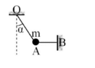Một chất điểm có khối lượng m = 100 g được treo trong mặt phẳng thẳng đứng nhờ hai dây như hình vẽ. Dây OA hợp với phương thẳng (ảnh 1)