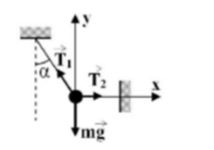 Một chất điểm có khối lượng m = 100 g được treo trong mặt phẳng thẳng đứng nhờ hai dây như hình vẽ. (ảnh 2)