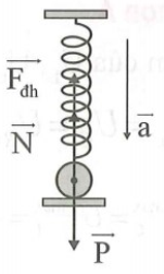 Một con lắc lò xo treo thẳng đứng gồm vật nặng khối lượng m = 1 kg, lò xo nhẹ có độ cứng k = 100 N/m. (ảnh 1)