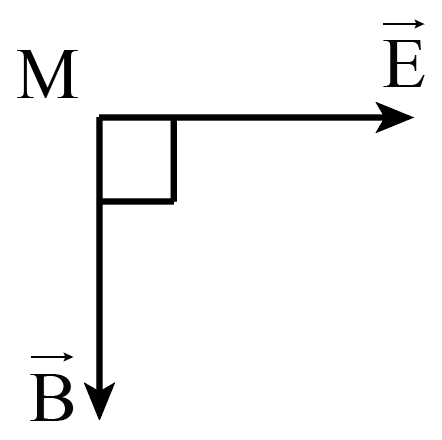 Một sóng điện từ lan truyền trong không gian, tại điểm M có sóng truyền qua vectơ cường độ điện trường E  (ảnh 1)