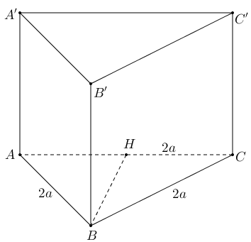 Cho hình lăng trụ tam giác đều ABC.A’B’C’ có cạnh đáy bằng 2a. Khoảng cách từ điểm B đến mặt phẳng (ACC’A’) bằng (ảnh 1)