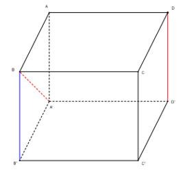 Cho hình lập phương ABCD.A'B'C'D' . Góc giữa hai đường thẳng (ảnh 1)